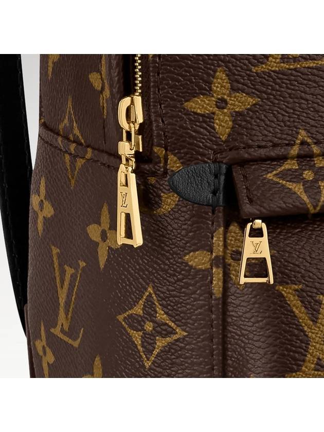 Palm Springs Monogram Mini Backpack Brown - LOUIS VUITTON - BALAAN 3