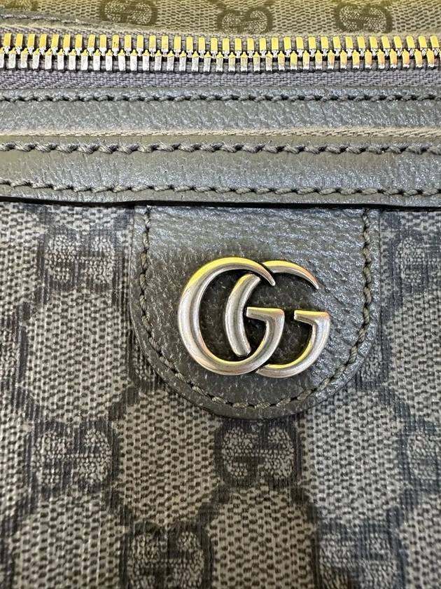 Ophidia belt bag hip 733868 - GUCCI - BALAAN 3