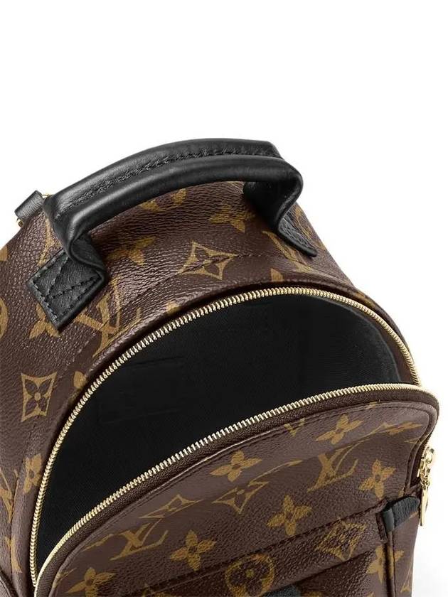 Palm Springs Monogram Mini Backpack Brown - LOUIS VUITTON - BALAAN 7