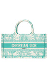 Riviera East-West Book Tote Mint - DIOR - BALAAN 1