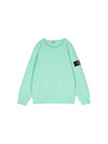 Kids Stone Island Pullover Sweatshirt 801661340 V0052 GREEN - STONE ISLAND - BALAAN 1