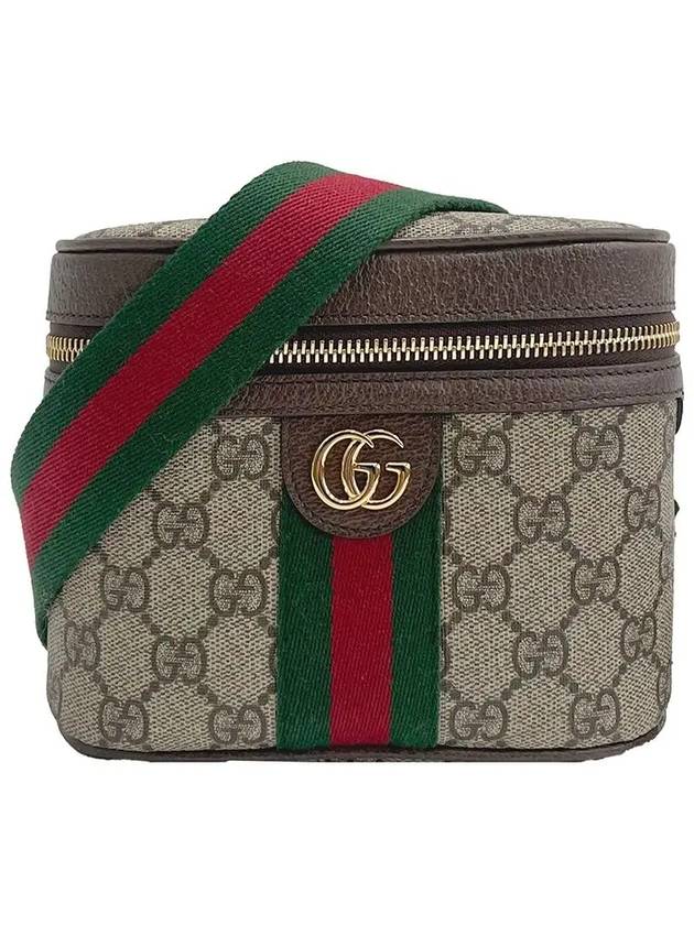 Ophidia Web Web Belt Bag Brown - GUCCI - BALAAN 2