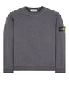 Wappen Patch Garment Dyed Sweatshirt Grey - STONE ISLAND - BALAAN 2