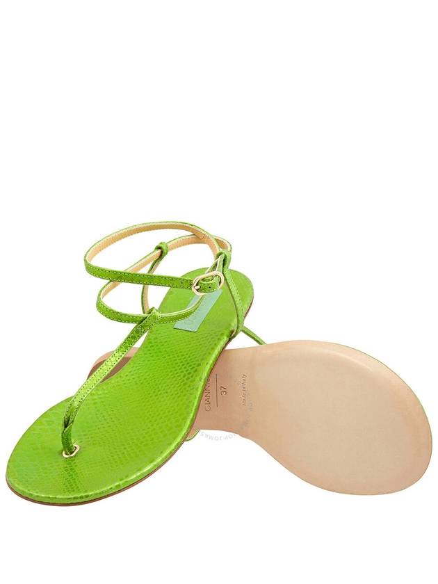 Giannico Ladies Kai Flip Flops Leather Flats, Brand Size 37 (US Size 7) - GIANNICO - BALAAN 2