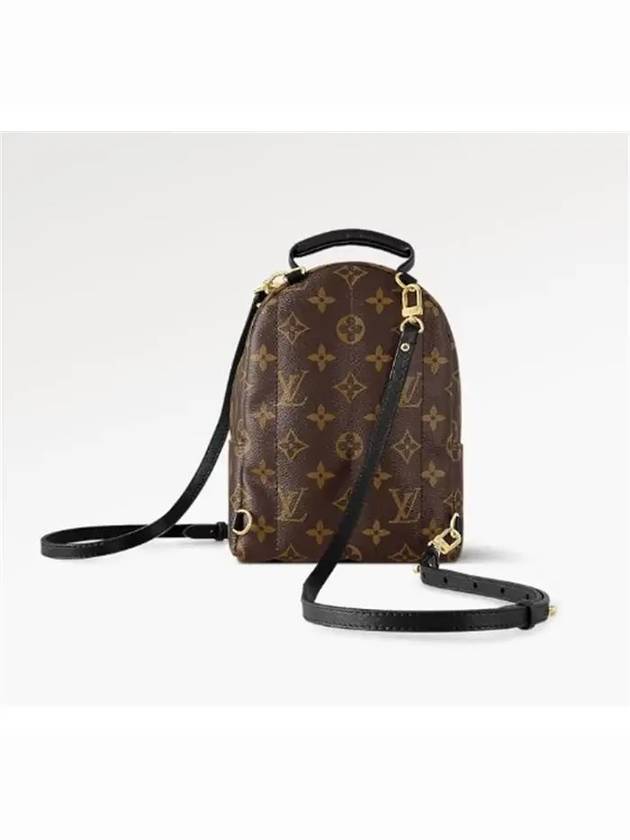 Palm Springs Monogram Mini Backpack Brown - LOUIS VUITTON - BALAAN 8