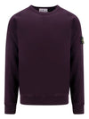 Brushed Cotton Fleece Garment Dyed Crewneck Sweatshirt Dark Burgundy - STONE ISLAND - BALAAN 2