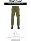 Wappen Patch Slim Fit Straight Pants Green - STONE ISLAND - BALAAN 3