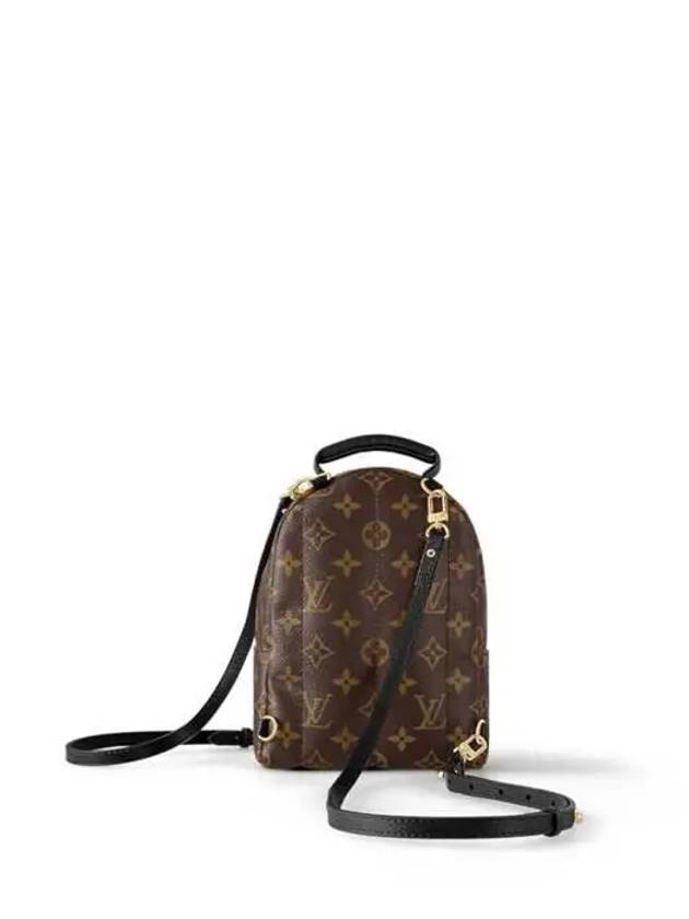 Palm Springs Monogram Mini Backpack Brown - LOUIS VUITTON - BALAAN 5