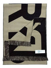 Logo Archive Scarf Brown - BURBERRY - BALAAN 4