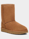 Classic Shorts 2 Winter Boots Chestnut - UGG - BALAAN 2