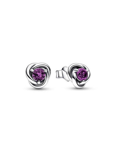 February Birthstone Eternity Stud Earrings Purple Silver - PANDORA - BALAAN 1