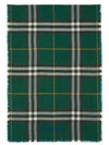 Vintage Check Fringe Scarf Green - BURBERRY - BALAAN 2