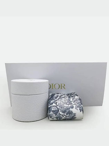 15JOU106I602 Scarf Fashion Accessories - DIOR - BALAAN 1