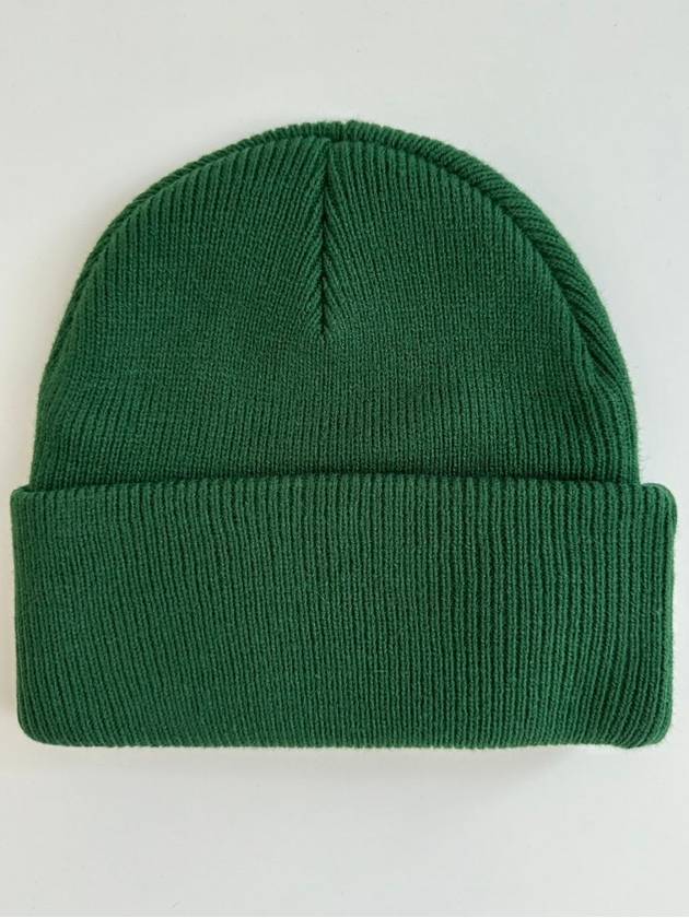 AU Australia Graffiti Tall Beanie ST724W1009 Green ONE SIZE - STUSSY - BALAAN 3