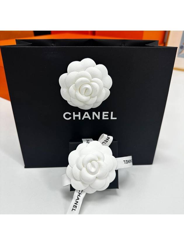 CC logo basic earrings silver - CHANEL - BALAAN 4