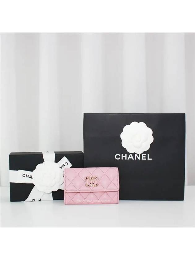 AP3608 B14343 NR645 Classic snap card wallet - CHANEL - BALAAN 10