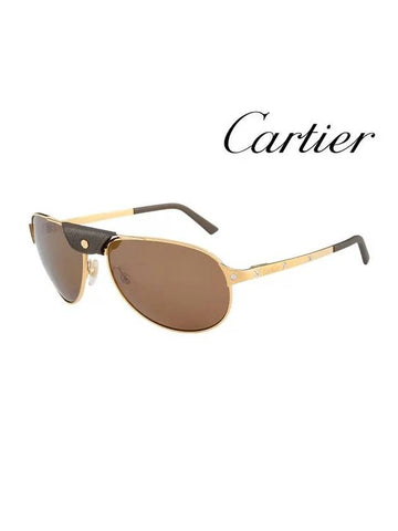 Boeing Metal Sunglasses Brown - CARTIER - BALAAN 1