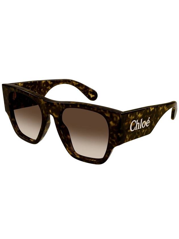 Chloé Sunglasses - CHLOE - BALAAN 2