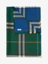 Vintage Check Fringe Scarf Green - BURBERRY - BALAAN 3