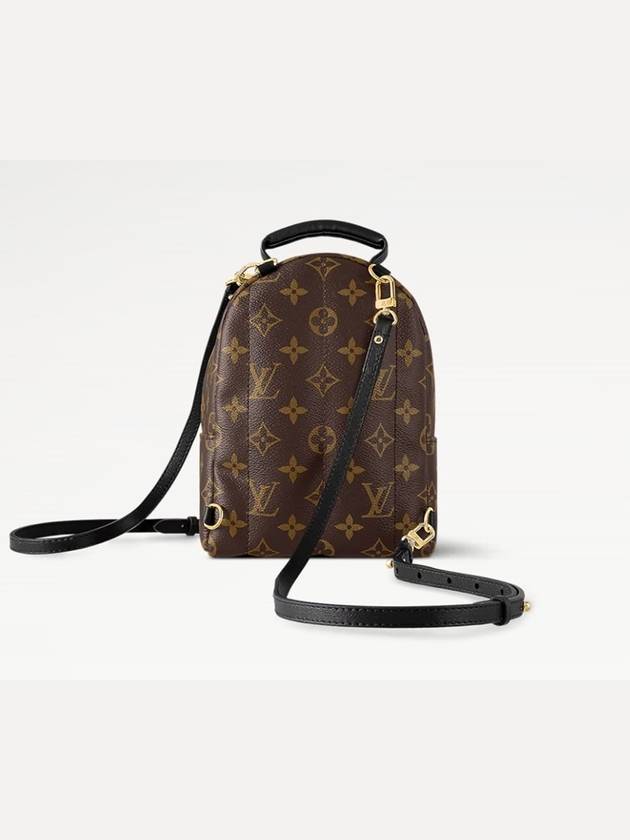 Palm Springs Monogram Mini Backpack Brown - LOUIS VUITTON - BALAAN 7