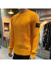 Wappen Patch Crew Neck Ribbed Wool Knit Top Yellow - STONE ISLAND - BALAAN 4