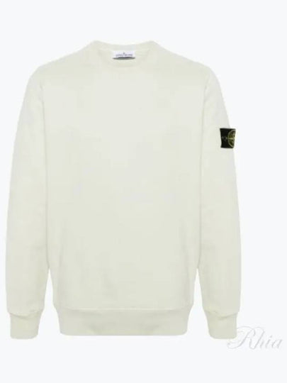 Wappen Patch Garment Dyed Sweatshirt Pistachio - STONE ISLAND - BALAAN 2