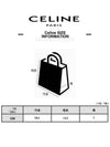 Teen Triomphe Shiny Calfskin Cross Bag Black - CELINE - BALAAN 11