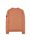 Wappen Patch Garment Dyed Sweatshirt Brown - STONE ISLAND - BALAAN 3