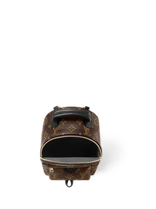 Palm Springs Monogram Mini Backpack Brown - LOUIS VUITTON - BALAAN 6