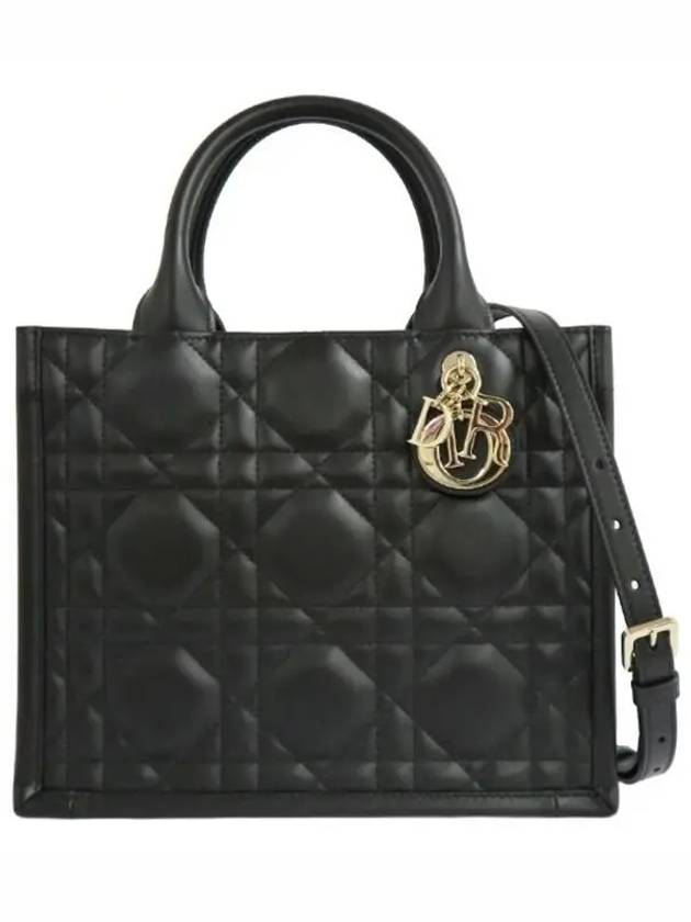 Macrocannage Calfskin Small Book Tote Bag Black - DIOR - BALAAN 2