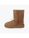 Classic Shorts 2 Winter Boots Chestnut - UGG - BALAAN 3