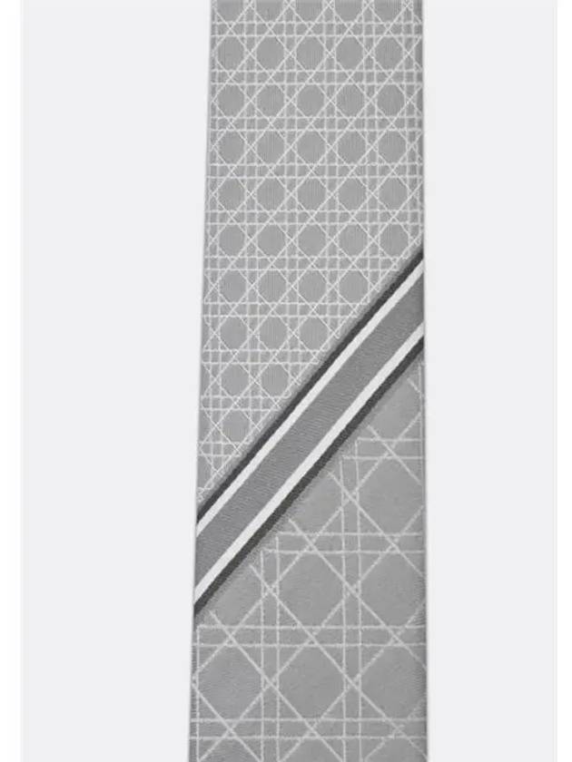 Striped Cannage Silk Tie Grey - DIOR - BALAAN 3