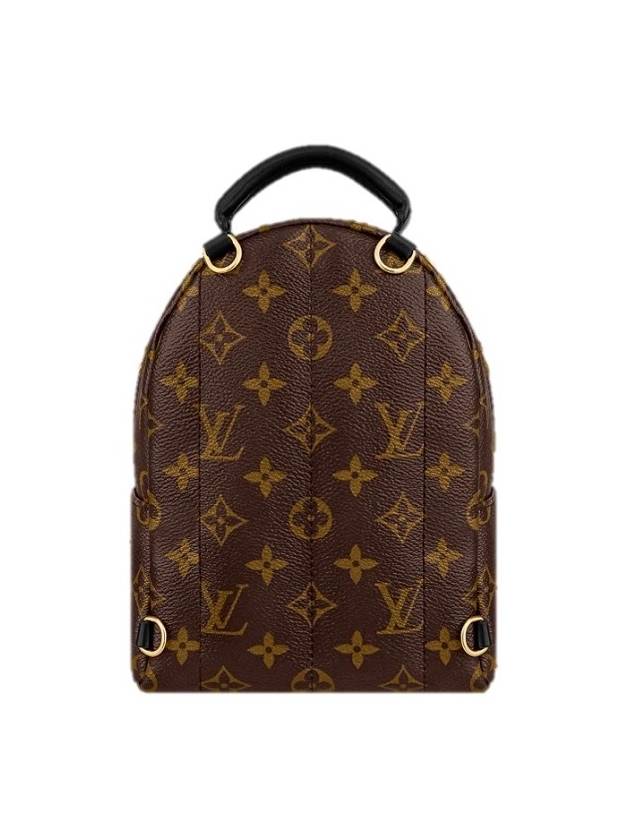 Palm Springs Monogram Mini Backpack Brown - LOUIS VUITTON - BALAAN 4