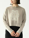 Sir Cropped Virgin Wool Knit Top Light Grey - MAX MARA - BALAAN 2