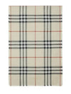 London Check Reversible Stone Light Green Scarf 8079750 - BURBERRY - BALAAN 2