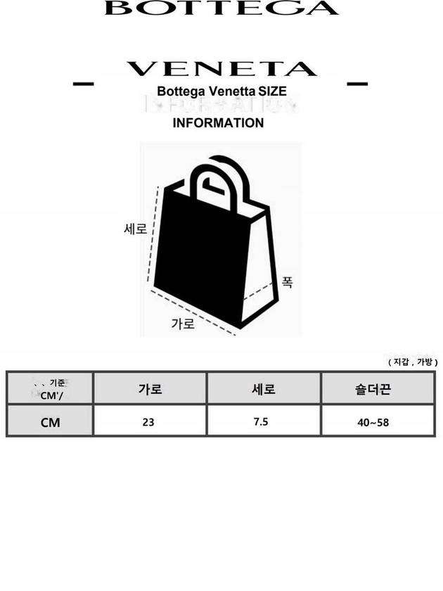 Small Padded Tech Cart Bag - BOTTEGA VENETA - BALAAN 10