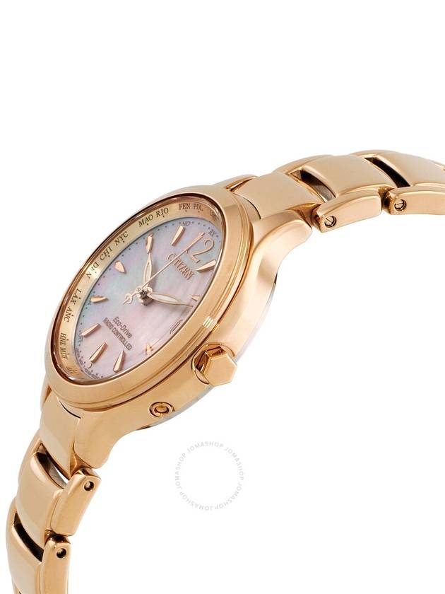 Citizen Eco-Drive Perpetual World Time Mother of Pearl Dial Ladies Watch EC1173-87Y - CITIZEN - BALAAN 2