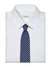 Tie 350978 773921 Free - SALVATORE FERRAGAMO - BALAAN 4