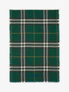 Vintage Check Fringe Scarf Green - BURBERRY - BALAAN 2