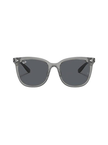 Eyewear Square Horn Rimmed Sunglasses Grey - RAY-BAN - BALAAN 1