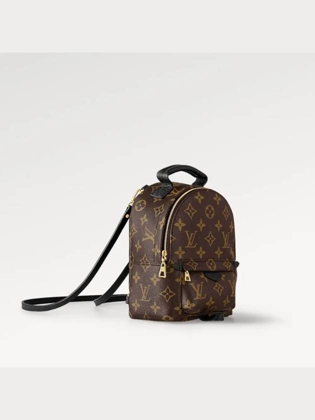 Palm Springs Monogram Mini Backpack Brown - LOUIS VUITTON - BALAAN 4