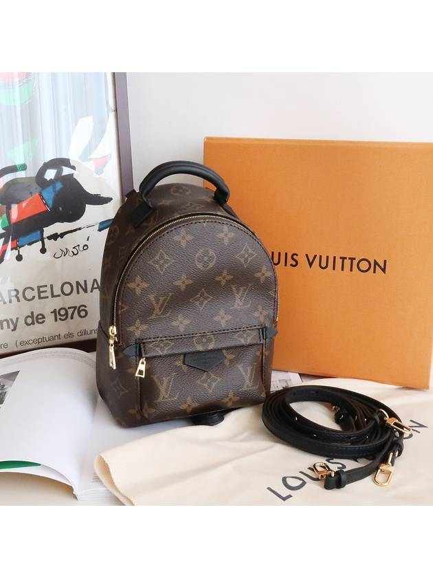 Palm Springs Monogram Mini Backpack Brown - LOUIS VUITTON - BALAAN 11