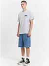 Fuzzy Dice Heavyweight T Shirt in Ash Heather - STUSSY - BALAAN 2