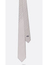 Oblique Stripe Silk Tie Grey - DIOR - BALAAN 4