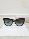 men sunglasses - JIMMY CHOO - BALAAN 5