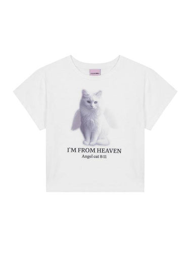 Angel Cat Crop Short Sleeve T-Shirt White - ITZAVIBE - BALAAN 1