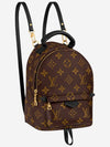 Palm Springs Monogram Mini Backpack Brown - LOUIS VUITTON - BALAAN 2