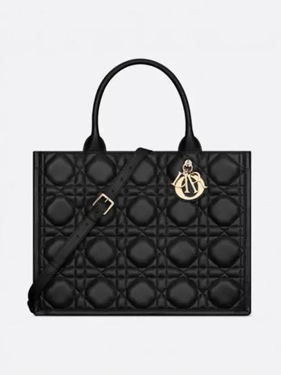 Macrocannage Book Calfskin Medium Tote Bag Black - DIOR - BALAAN 2