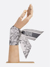 Toile de Jouy Sauvage Mitzah Silk Twill Scarf Grey - DIOR - BALAAN 5