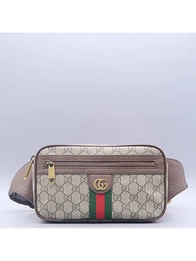 574796 GG Logo PVC Supreme Canvas Ophidia Hip Sack and Cross Belt Bag - GUCCI - BALAAN 2